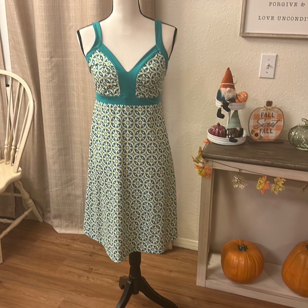 Patagonia dress